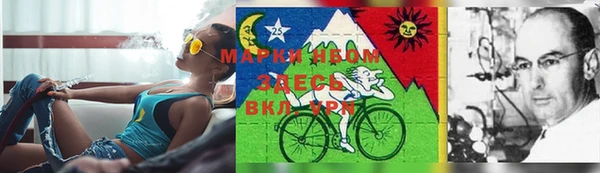 apvp Богородицк
