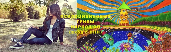 мескалин Дмитриев