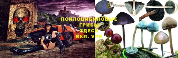 прущий лед Аркадак