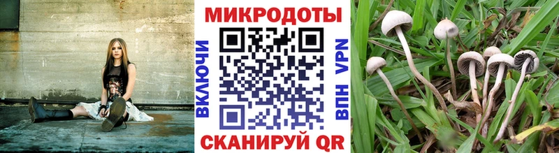 Галлюциногенные грибы MAGIC MUSHROOMS  Сельцо 